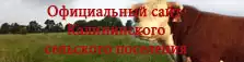 Сайт администрации Калининского поселения